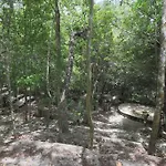 Casa De La Selva-Jungle Getaway With Cenotes