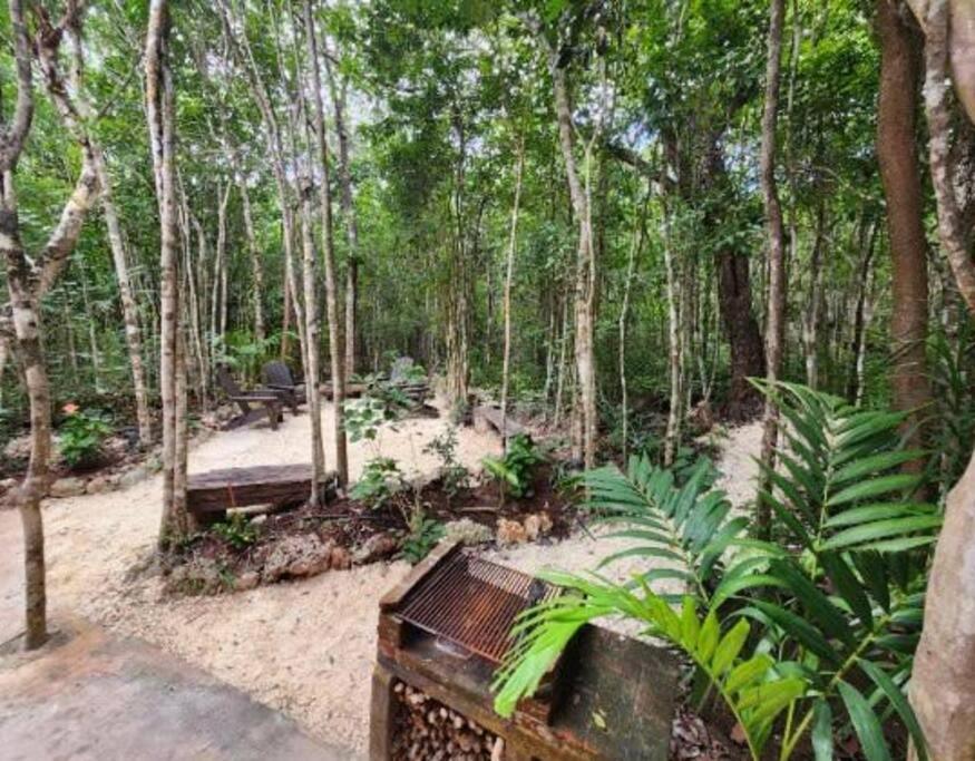 Casa De La Selva-jungle Getaway With Cenotes
