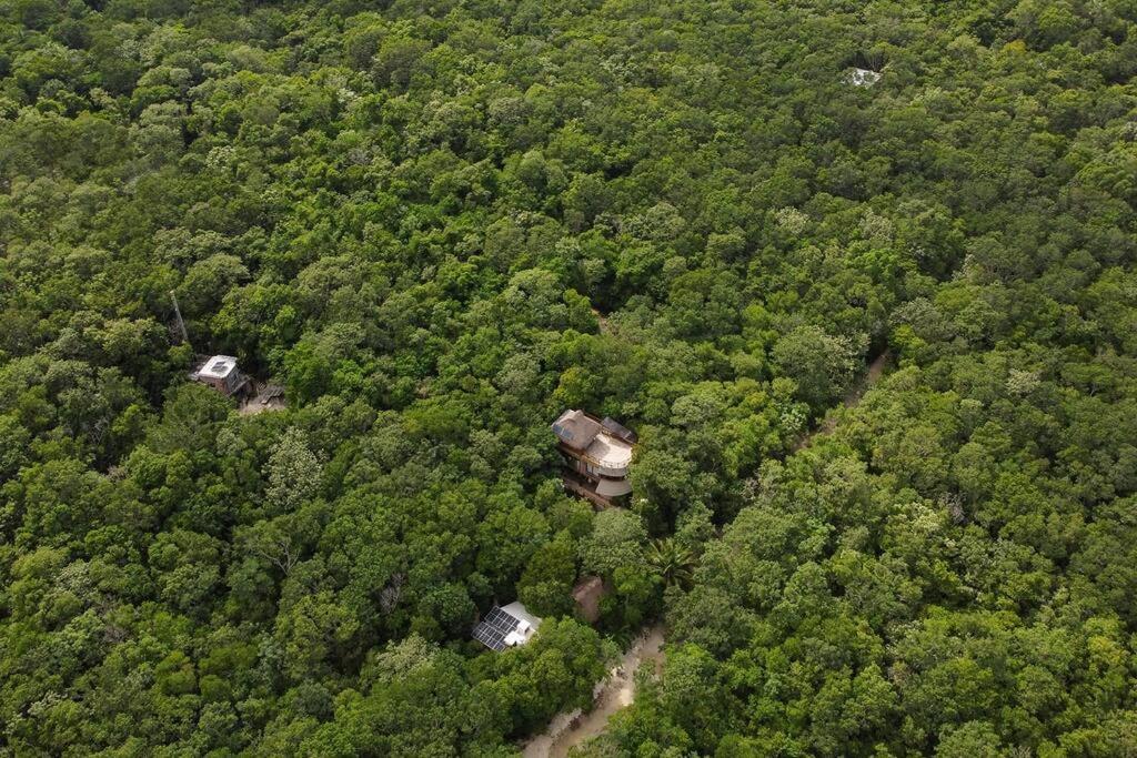 Casa De La Selva-jungle Getaway With Cenotes