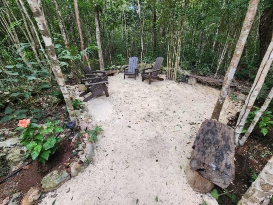 Casa De La Selva-jungle Getaway With Cenotes