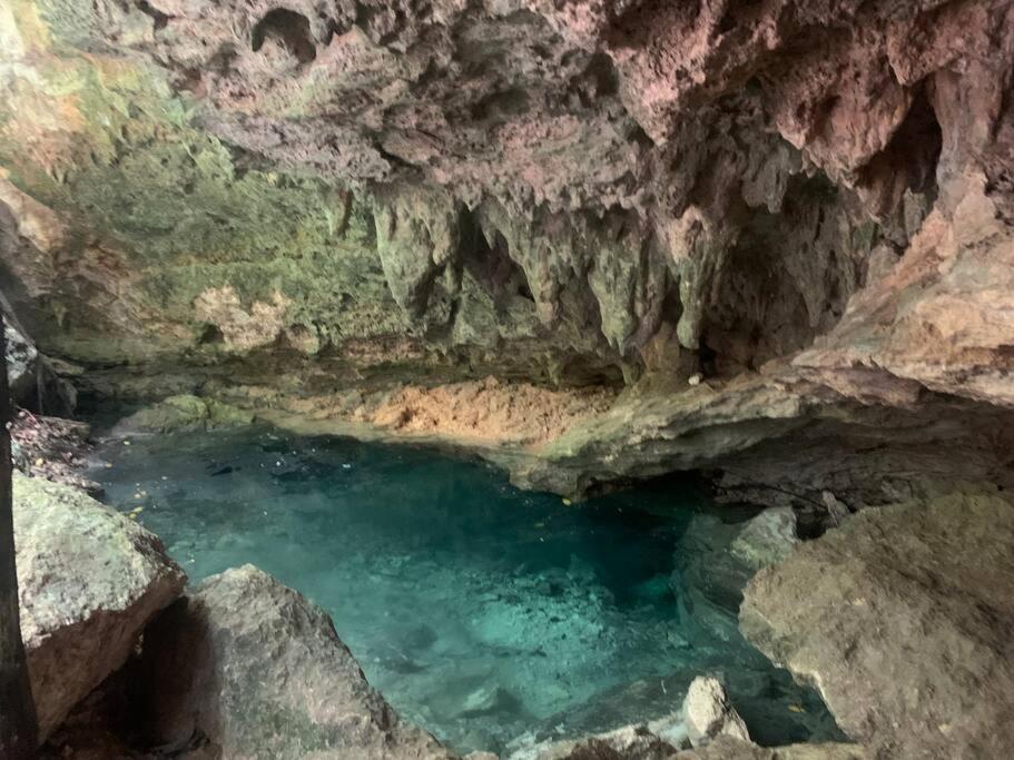 Casa De La Selva-jungle Getaway With Cenotes Playa del Carmen