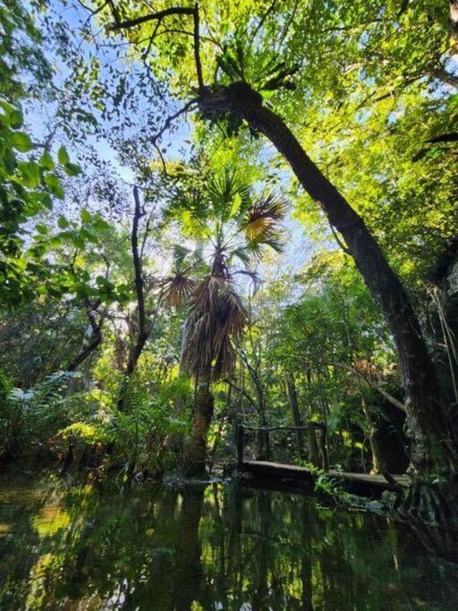 Casa De La Selva-jungle Getaway With Cenotes *