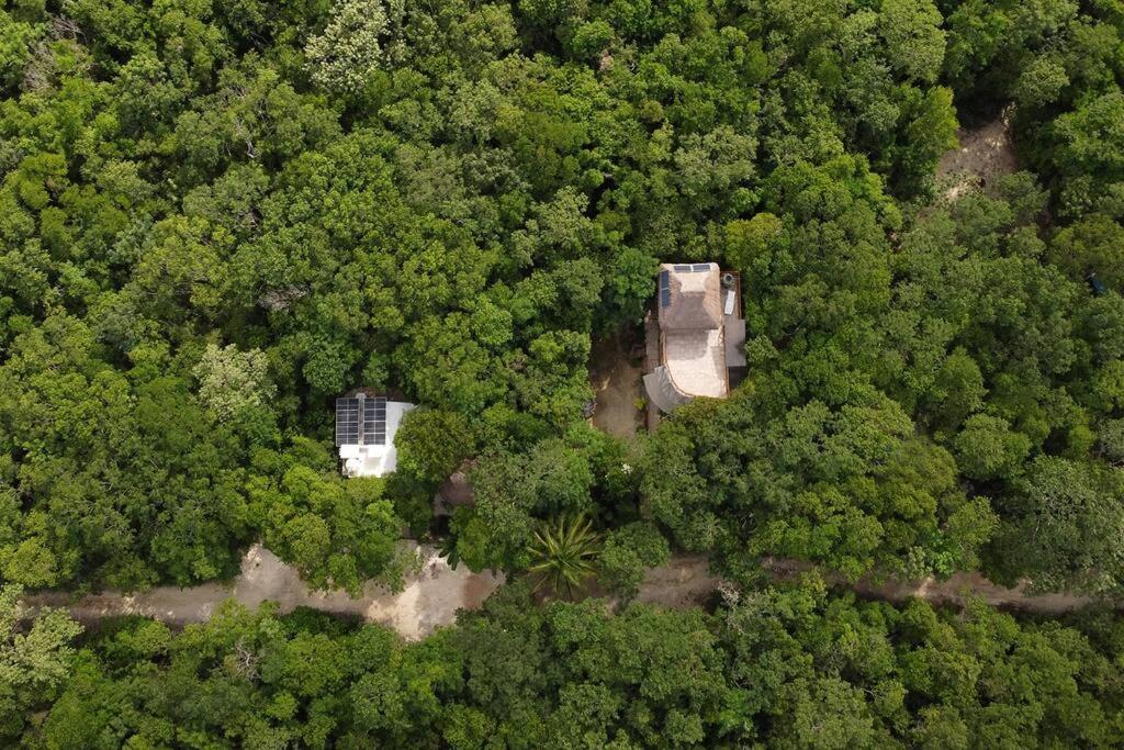 Casa De La Selva-jungle Getaway With Cenotes * Playa del Carmen