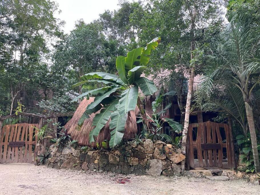 Сasa de vacaciones Casa De La Selva-jungle Getaway With Cenotes