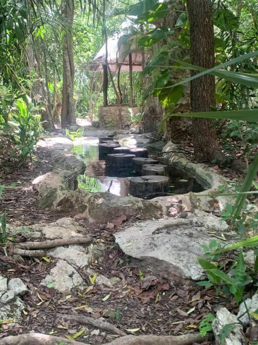 Casa De La Selva-jungle Getaway With Cenotes Сasa de vacaciones *